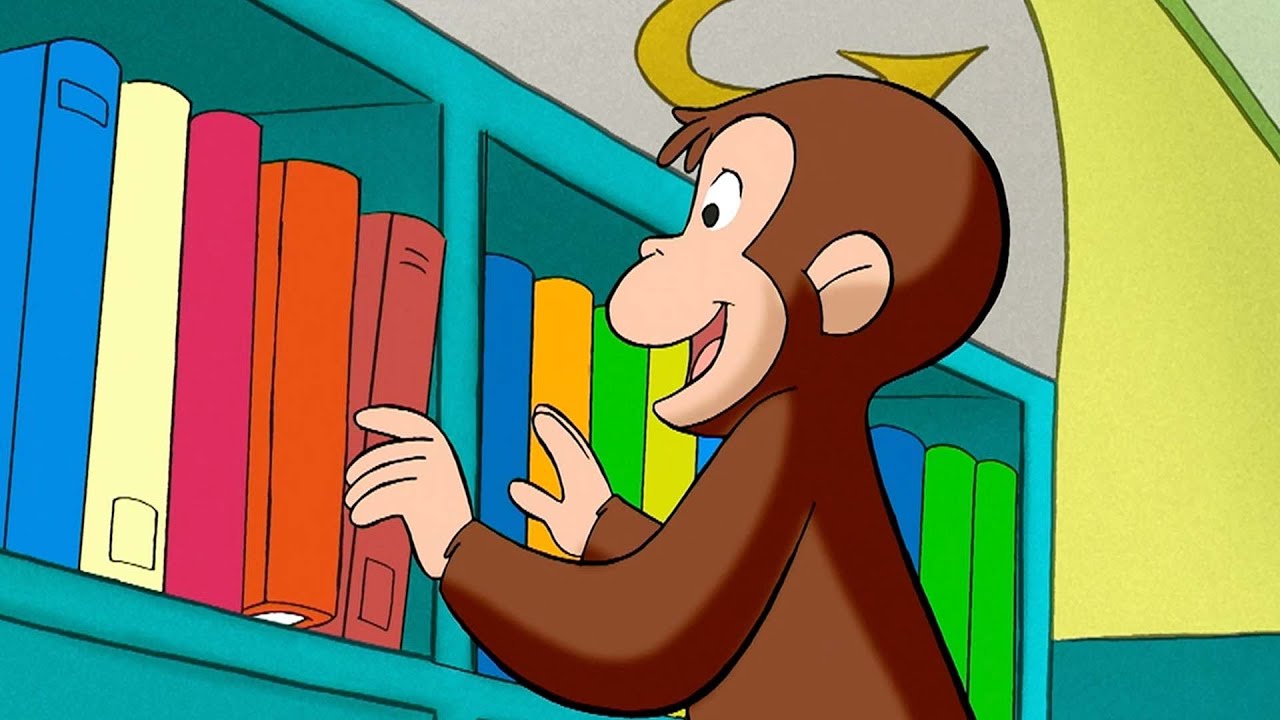 本の整理の仕方 🐵 おさるのジョージ