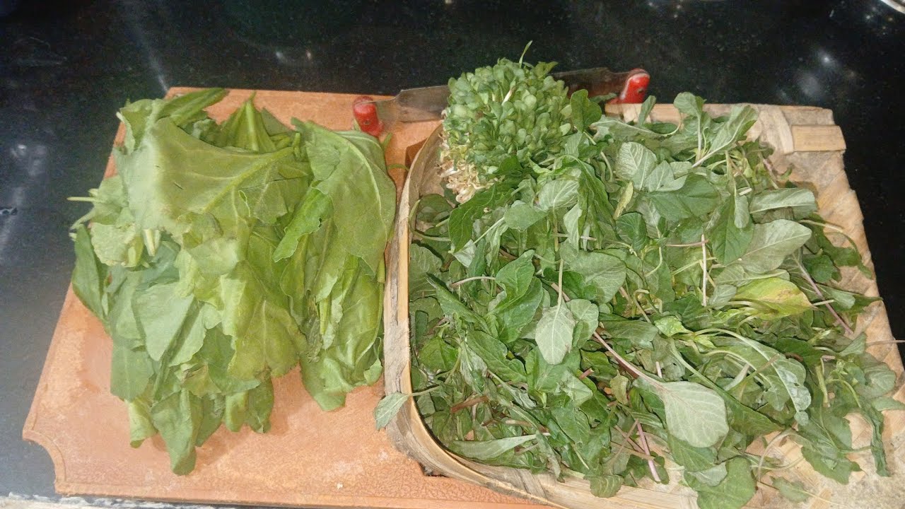 Budget friendly food&  health కి ఎన్నో benefits ఉండే food #cooking 