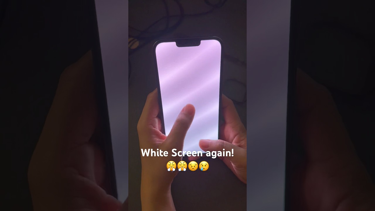 iPhone 13 Promax - White screen again!