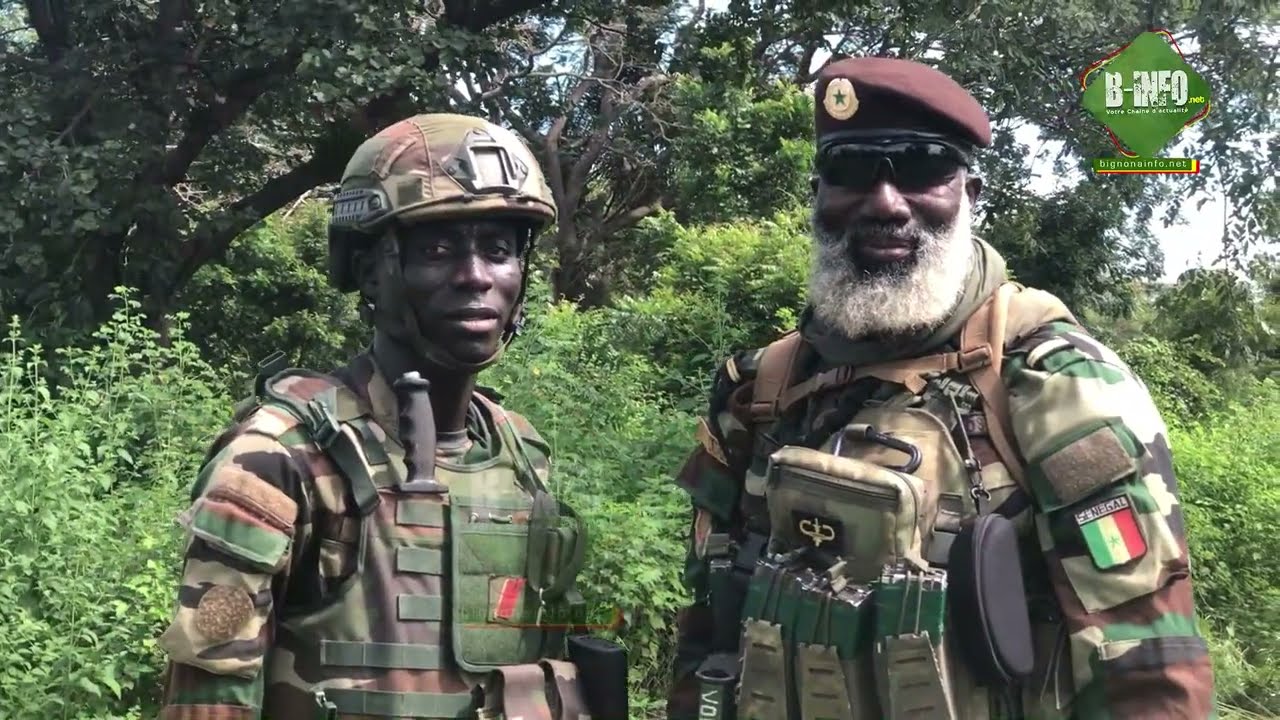 Casamance: L'armée Détruit près de 50 ha de Champs de YAMBA d'une Valeur de plus de 2 Milliards