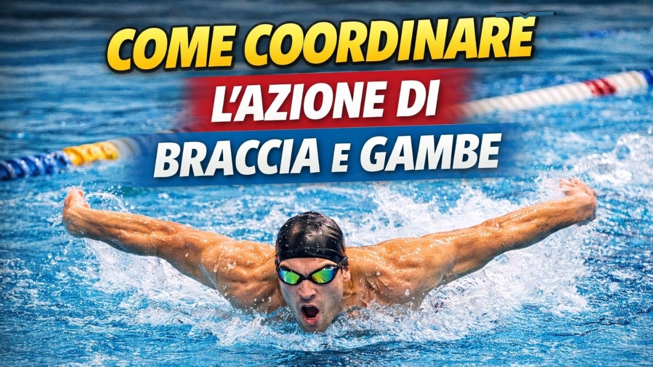🏊‍♂️ Nuoto a Delfino: come coordinare l’azione di braccia e gambe