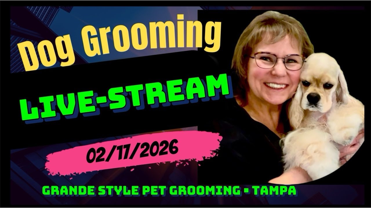 A DAY in the LIFE of a DOG GROOMER at Grande Style Dog Grooming in Tampa, Florida. Watch cute dogs!