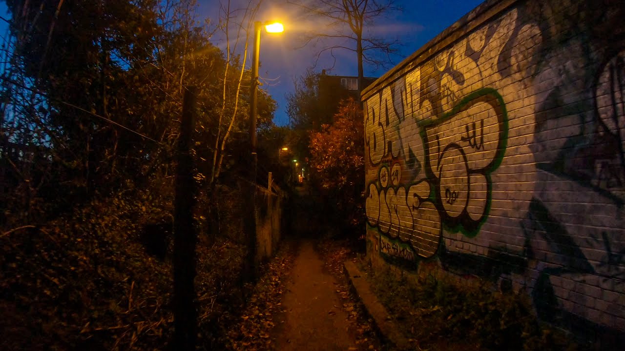 Walking in London: Around Woodside Park at Dusk [4K Binaural ASMR]