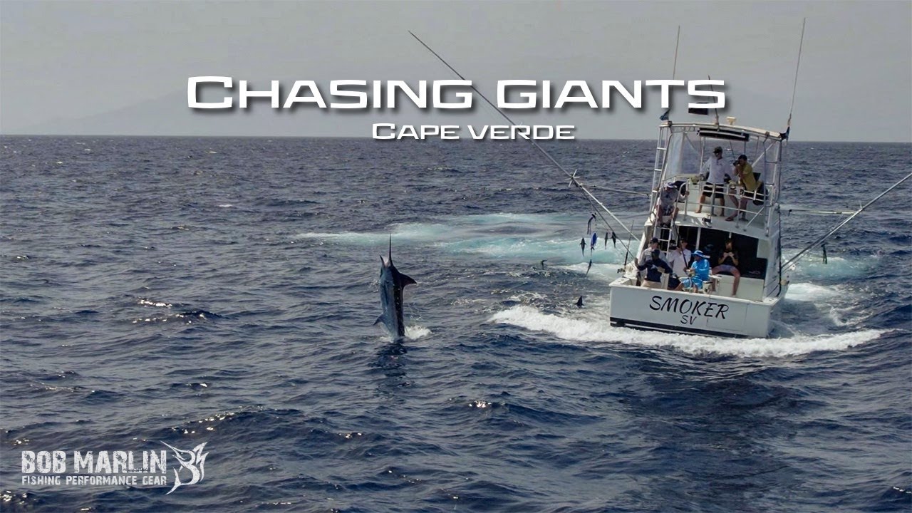 Chasing Giants - Blue Marlin Fishing in Cape Verde | Bob Marlin