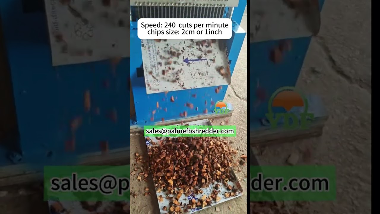2cm Size Coconut Husk Chips Machine - One Step