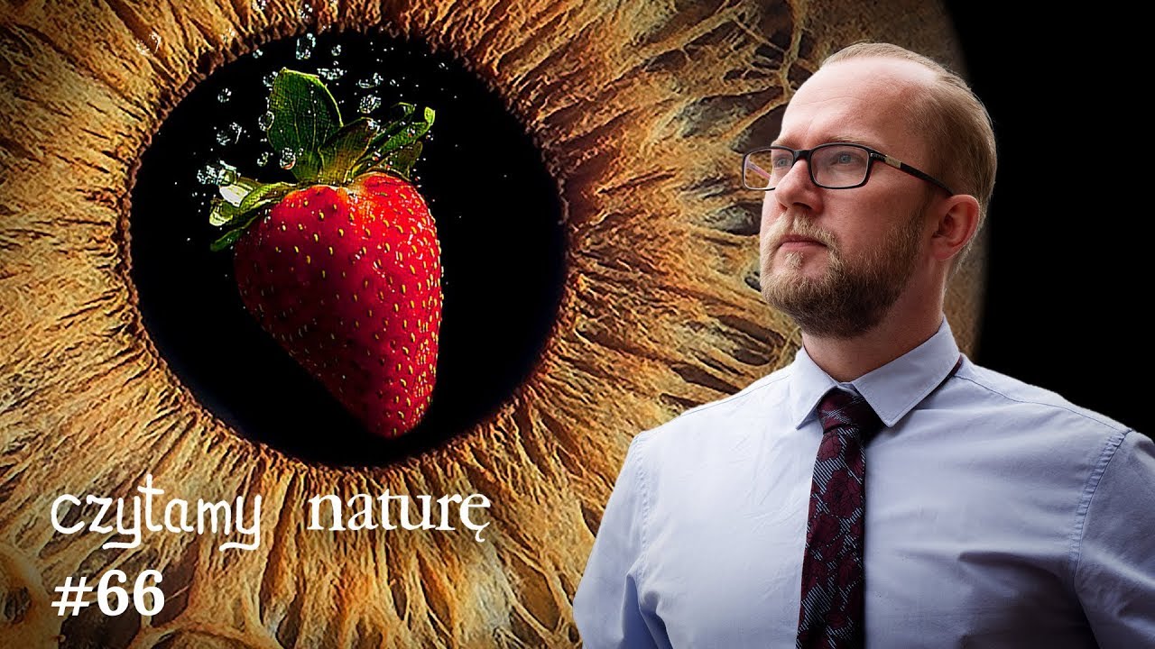 Czytamy Naturę #66 | Owoce, które się nie psują - Superhydrofobia - Nanotechnologia na ślepotę
