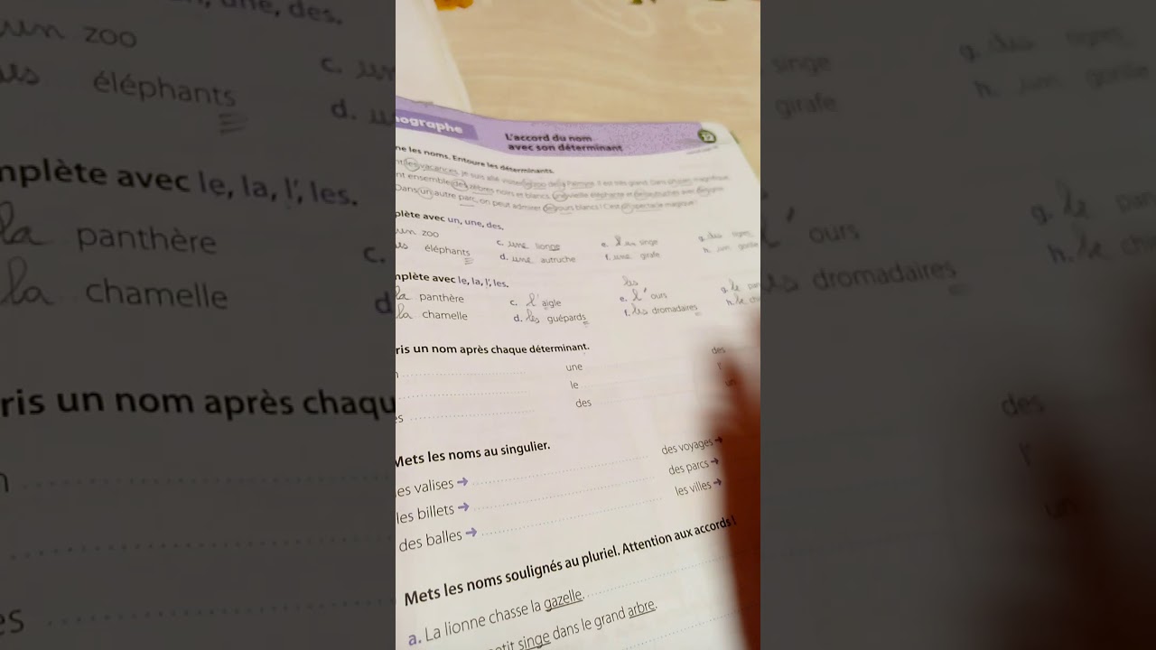 CE1 correction orthographe U12