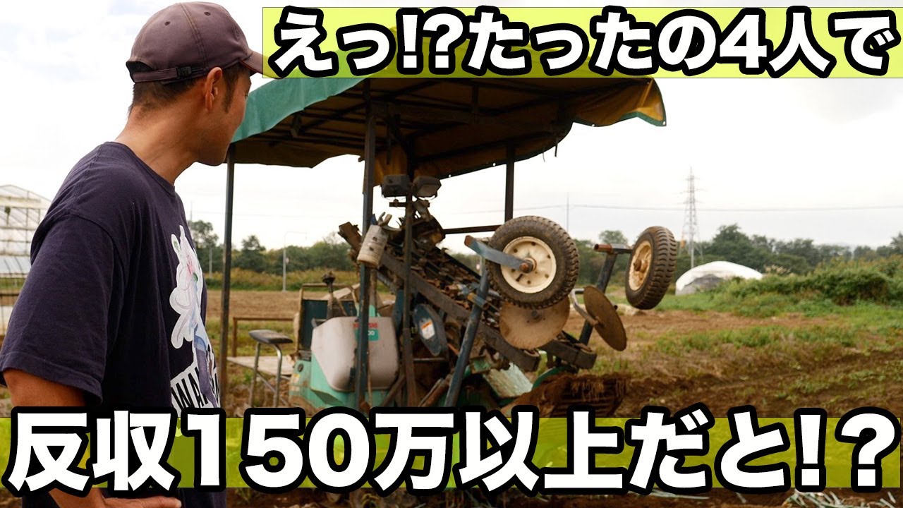 【弱小農家の工夫】10日で1000箱／反を捌く小規模農家の作業はどうやっている？