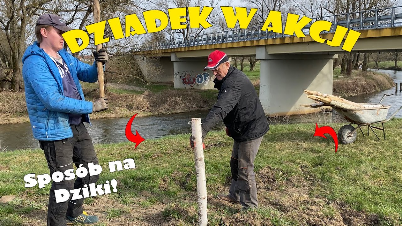 ‼️Sposób na Dziki‼️ | Montaż Ogrodzenia | Dziadek w akcji | Pastuch | Ziemniaki