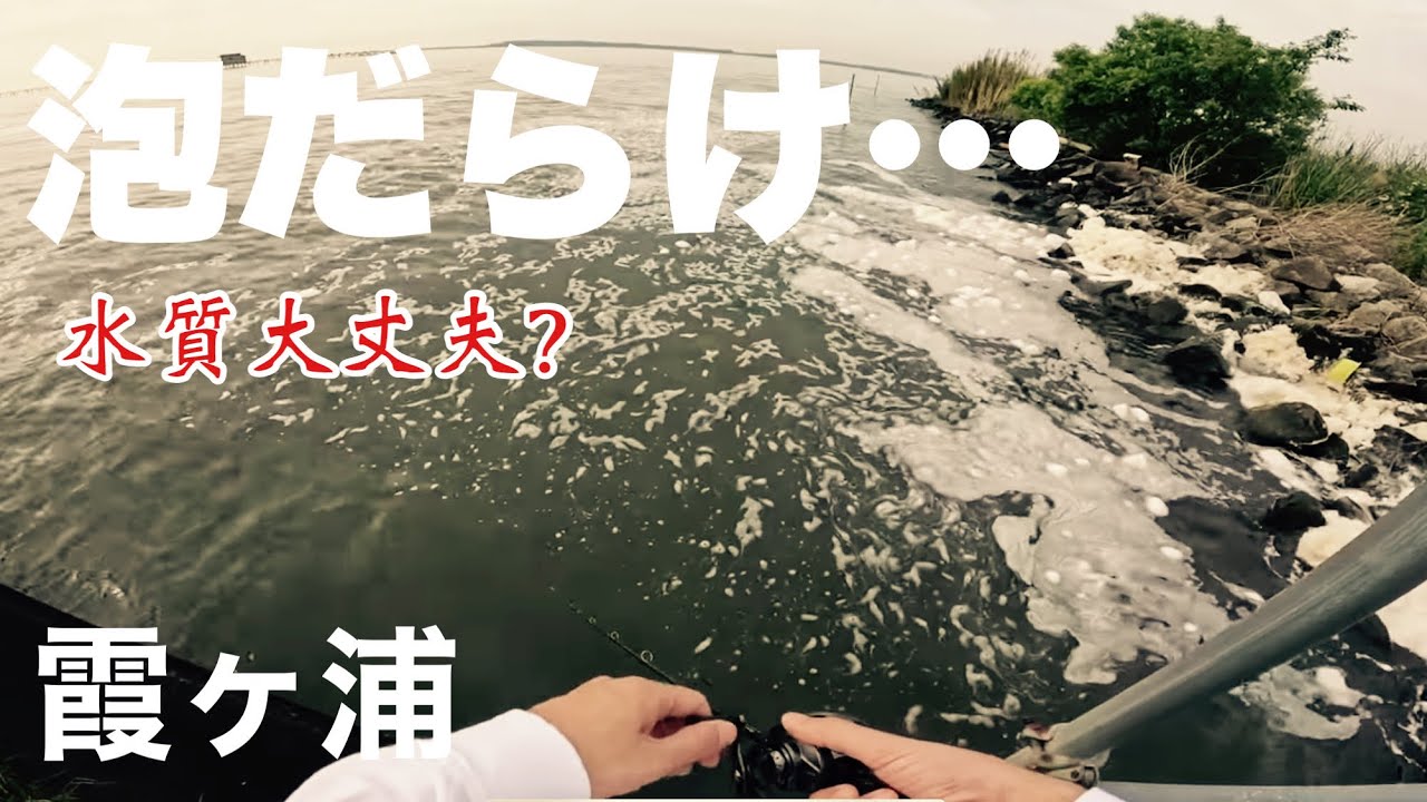 24章第7話【牛渡エリア/霞ヶ浦/5月中旬/バス釣り】235話
