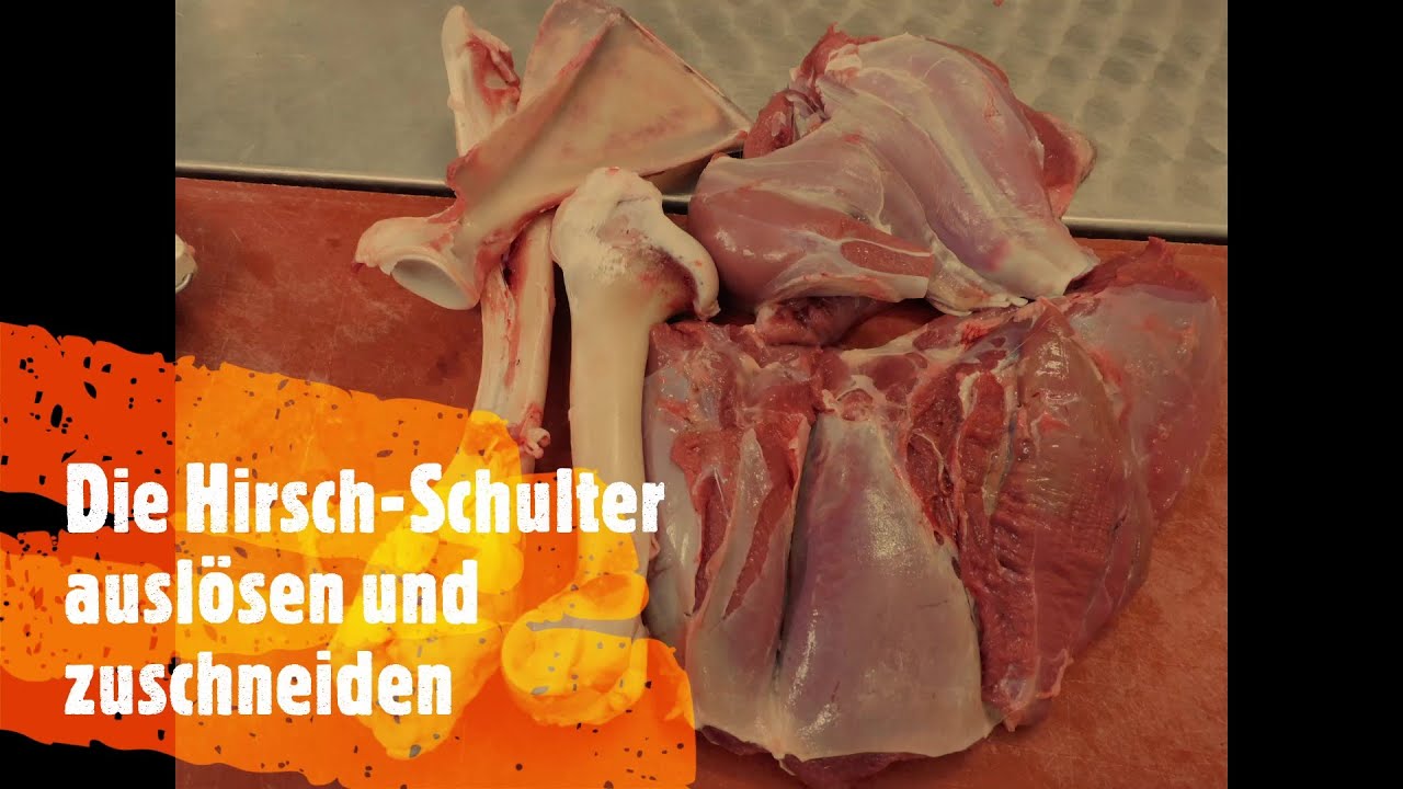 Hirschschulter ausl&ouml;sen und zuschneiden . So wird`s gemacht! Profi Metzger Ralf