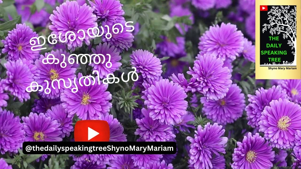 ഇശോയുടെ കുഞ്ഞു കുസൃതികൾ