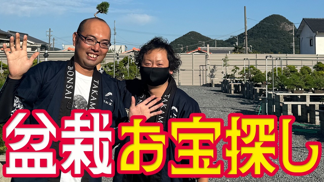 驚きの産地価格を徹底検証！盆栽の郷でお宝探し【高松盆栽の郷フェスタ】