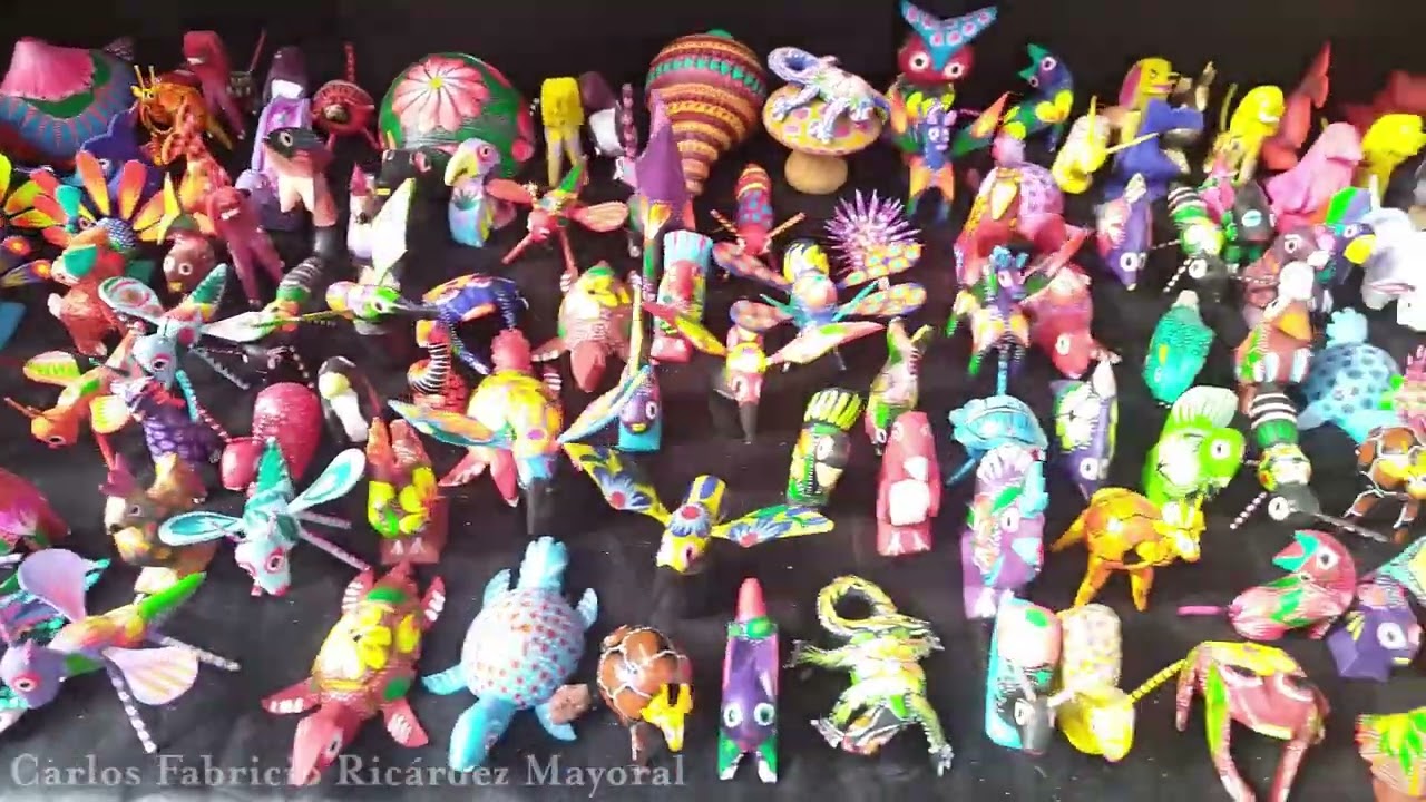 video oaxaca 1
