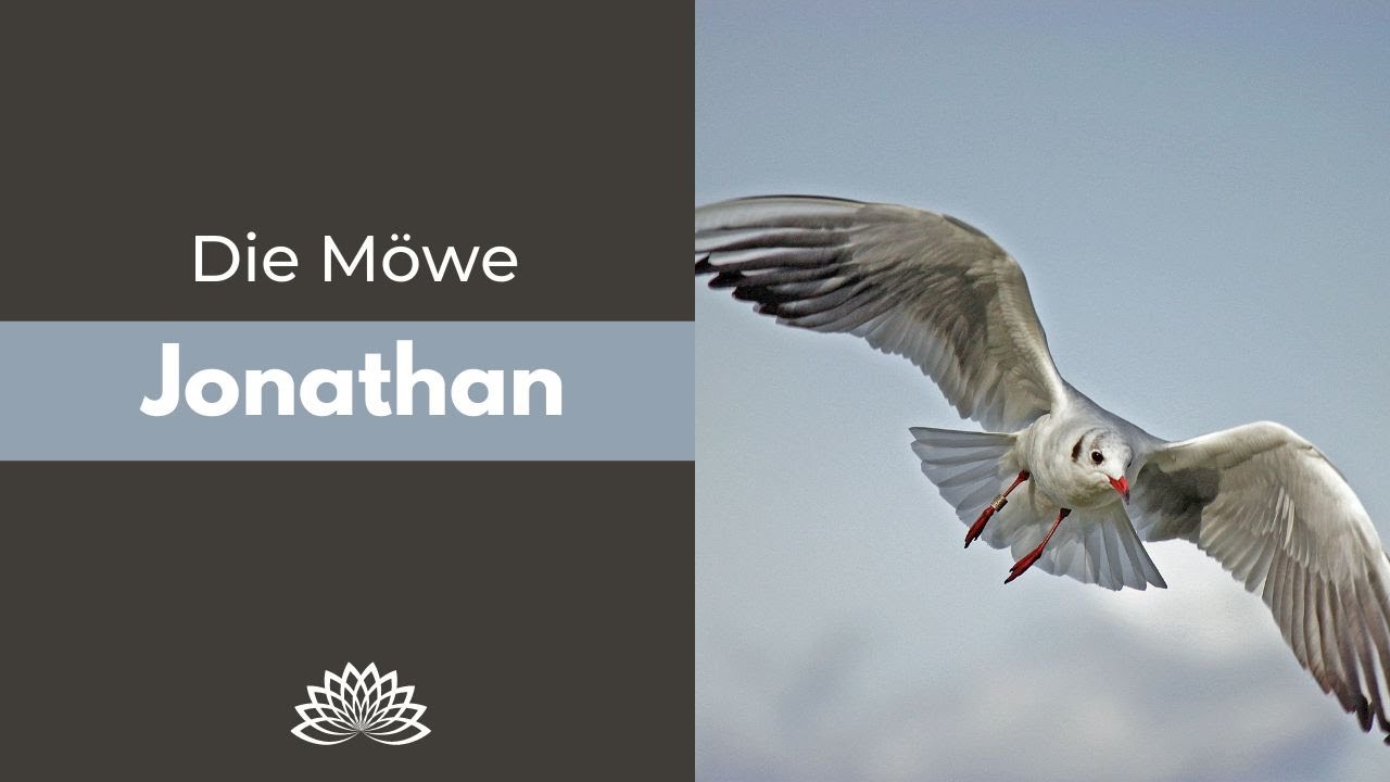 Die Möwe Jonathan (Parabel)