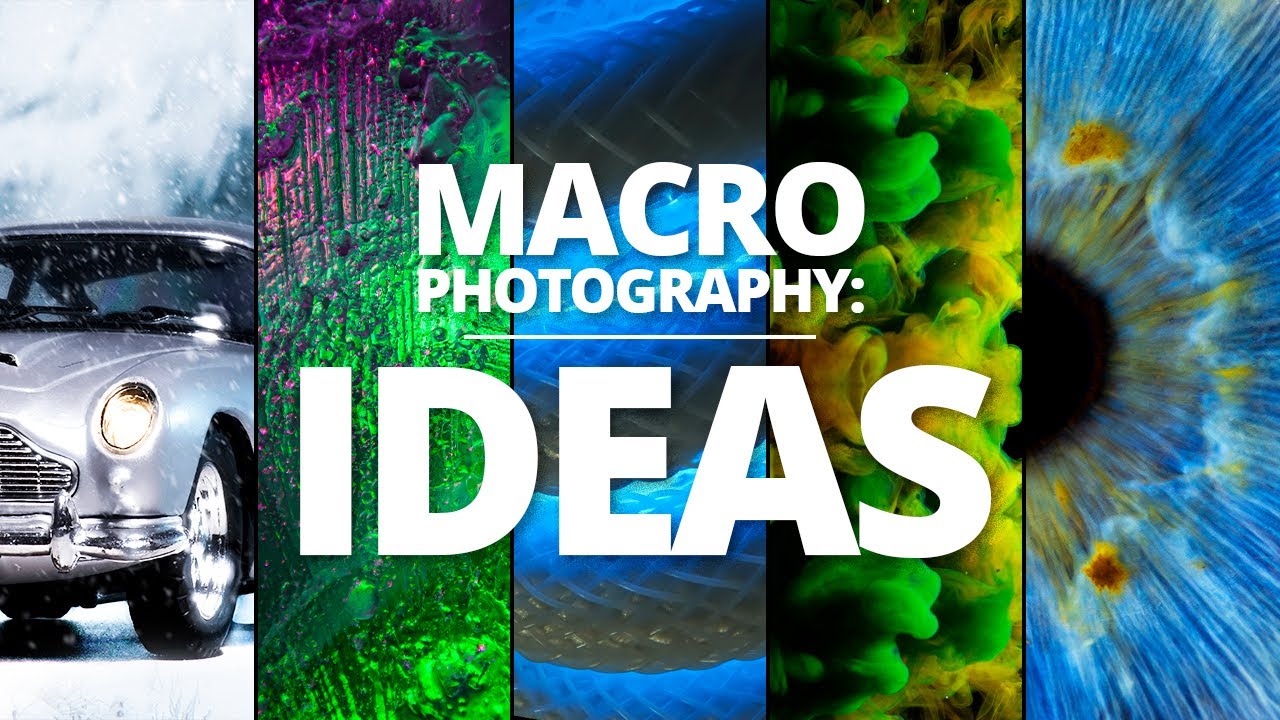 AMAZING Macro Photography Ideas to try in 2024