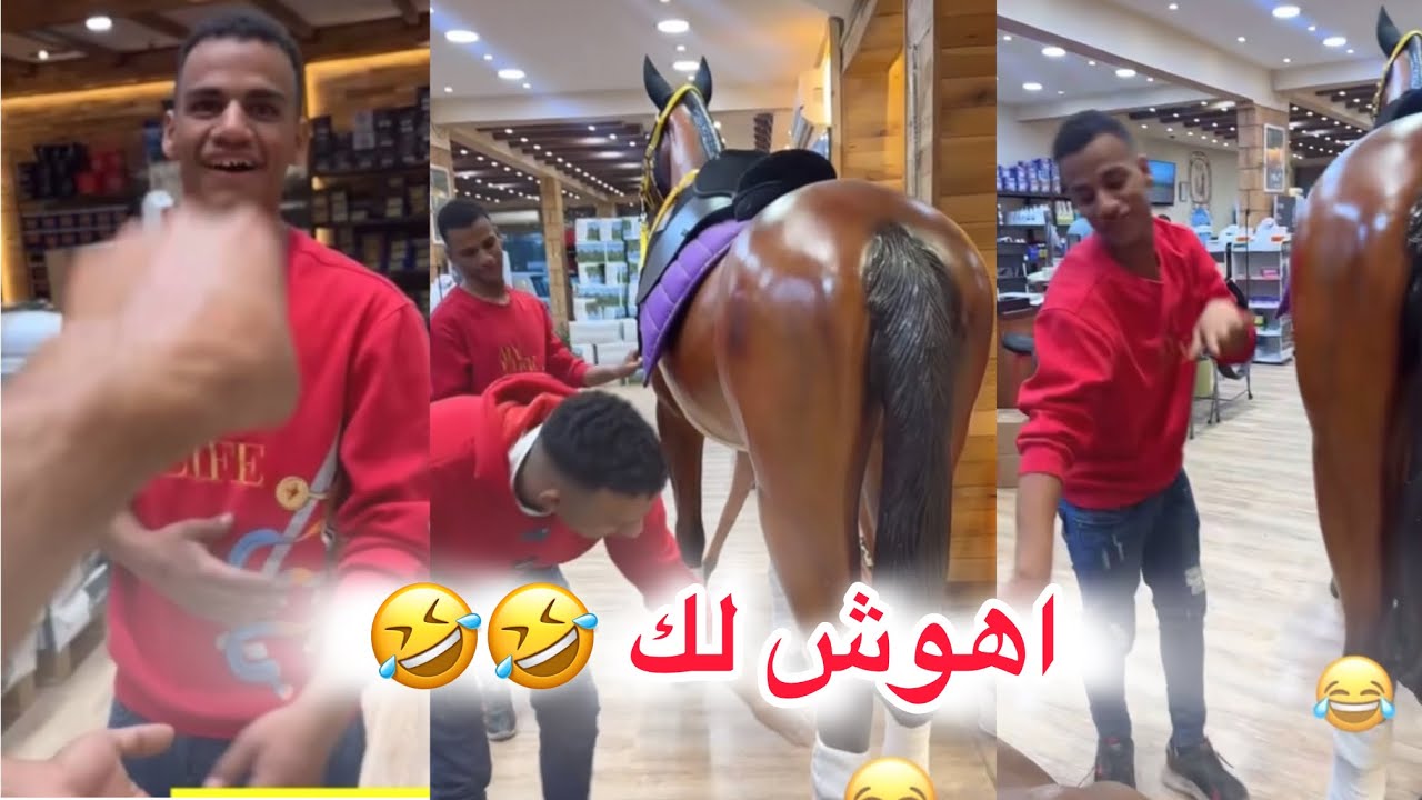 اهوش لك 🤣🤣 #ابتاه #البحرين 🇧🇭 #اشترك_بل_قناة_وفعلو_الجرس_ليصلكم_كل_جديد