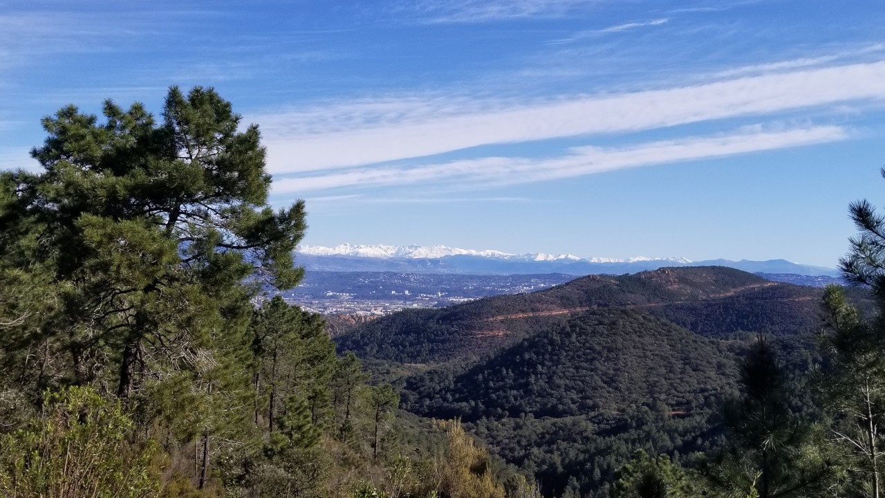 L'Estérel depuis Maure Vieil