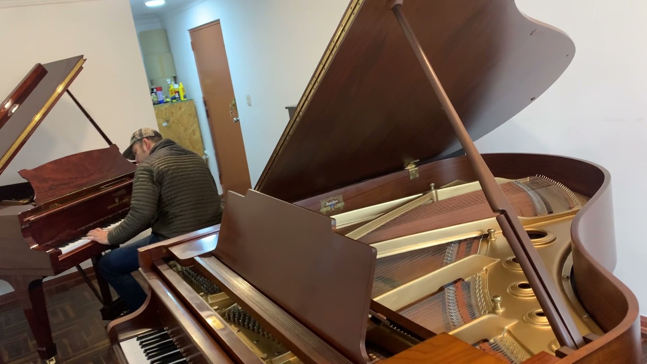 STEINWAY & SONS modelo M - piano de cola