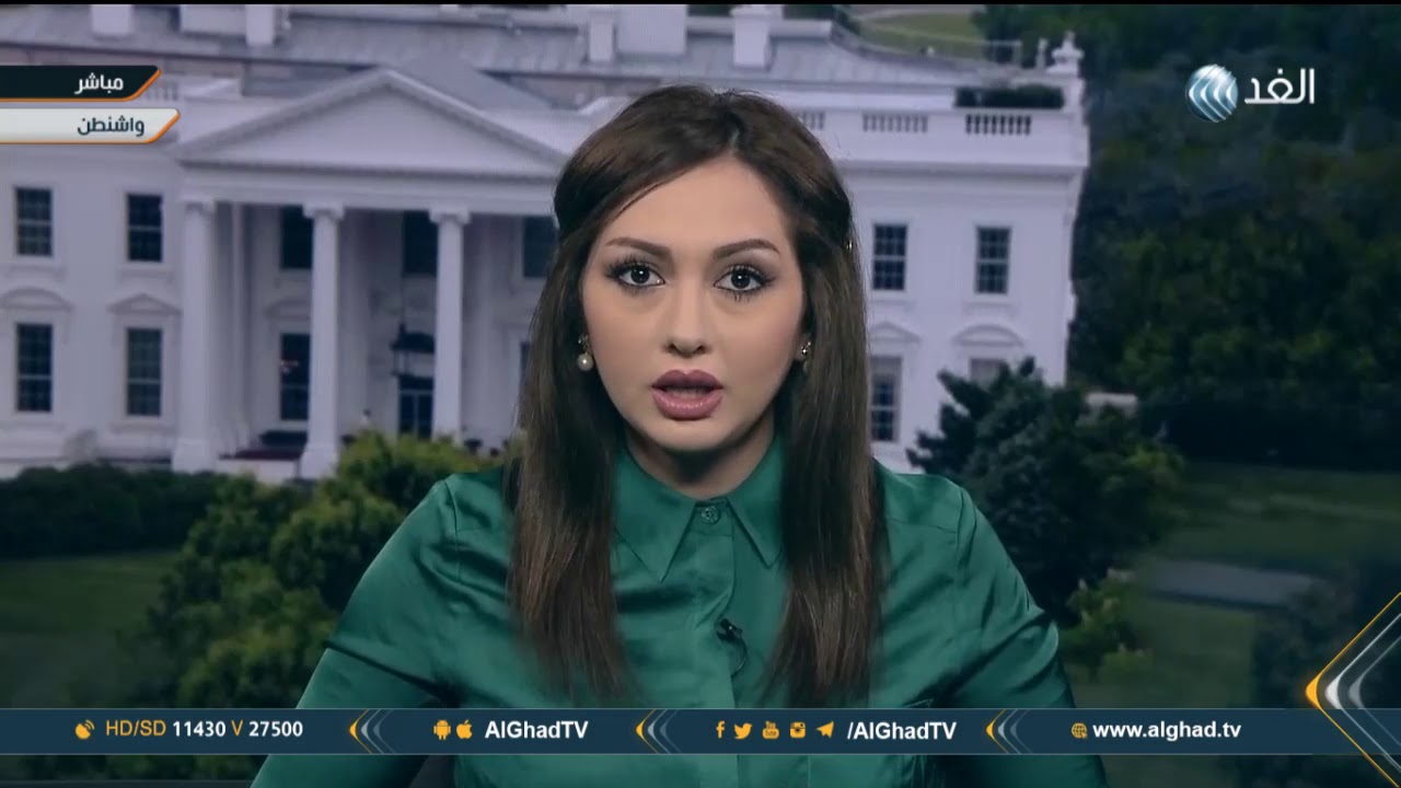 محللة سياسية:  الديمقراطيون يدفعون ترامب نحو افتعال مشكلات مع روسيا