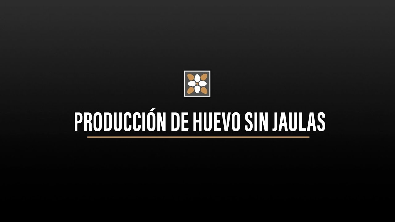 Producción De Huevo Sin Jaulas