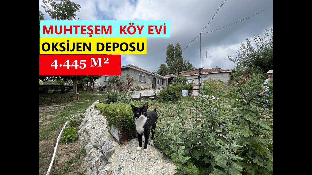 (satışta değil)