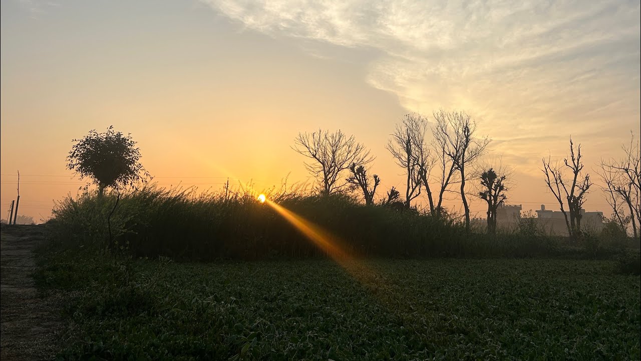 ਸੱਜਰੀ ਸਵੇਰ 🌅 🌞☀️ ਪਿੰਡ ਚੀਮਾ ॥ cinematic video #subscribe#cinematic#villagelife# 