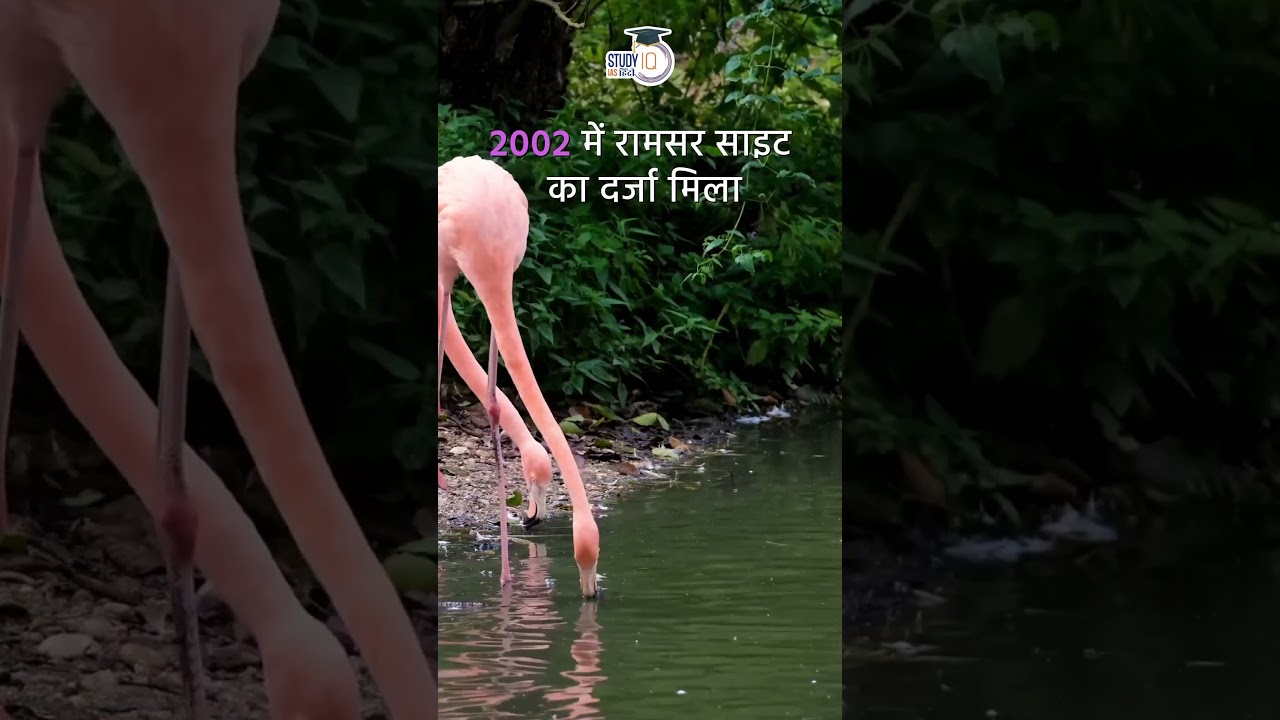 Kolleru Lake | UPSC PYQ | Map in Short | Amrit Upadhyay | UPSC 2024 | StudyIQ IAS हिंदी