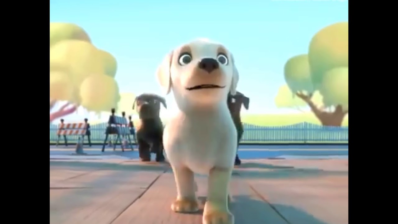 PIP, perro guía