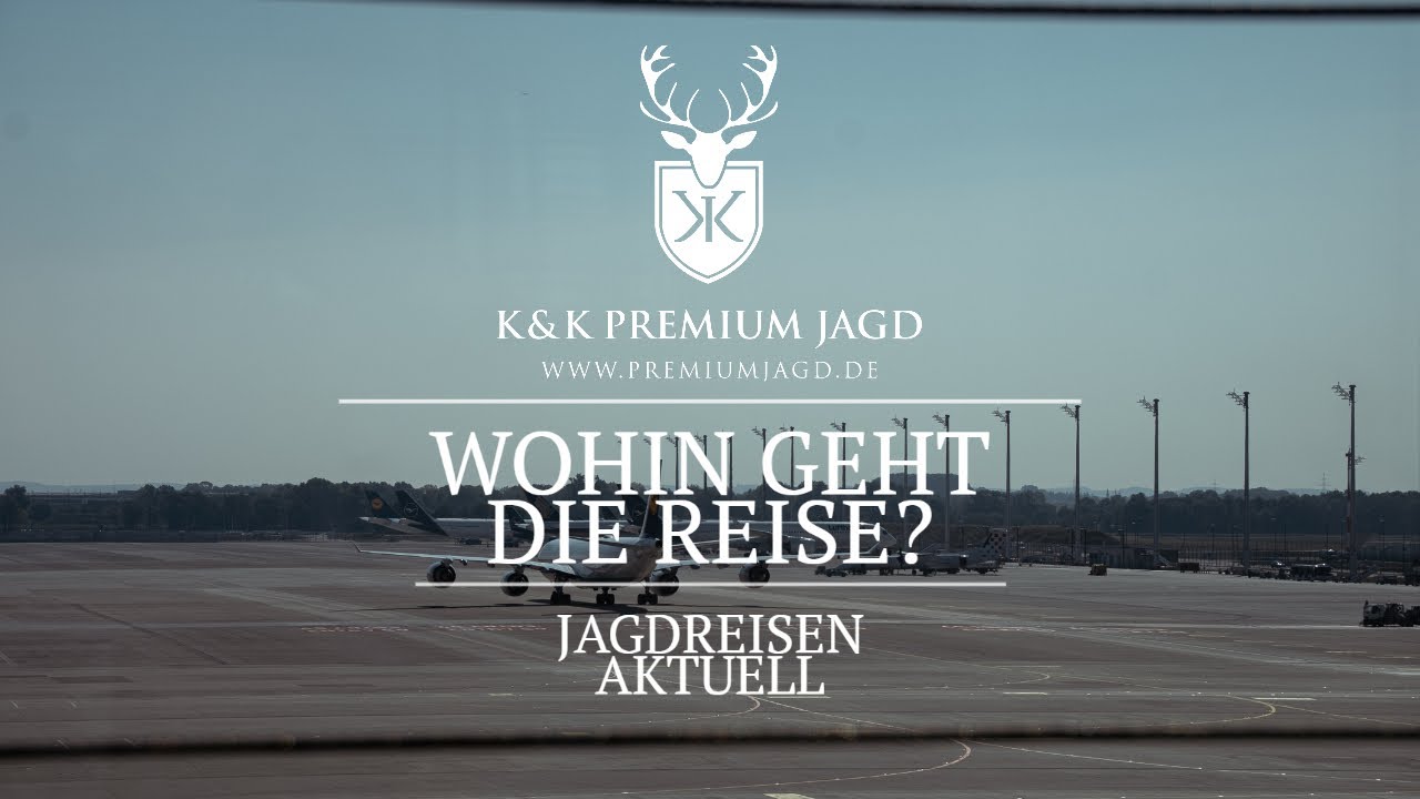 Rotwild Brunft 🦌 2022 Wohin soll die Reise gehen?