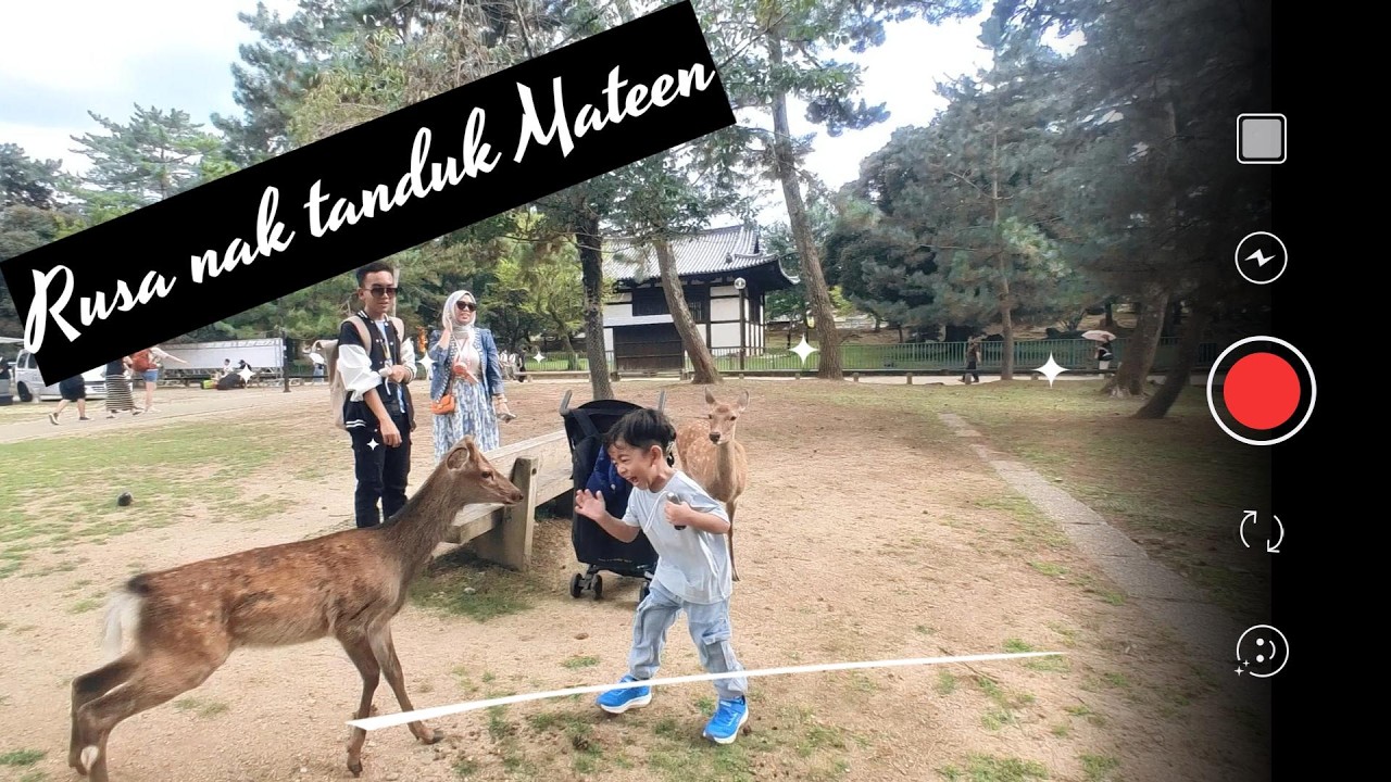 Exploring Osaka with Family | Summer Travel Vlog | Day 3 #Osaka #JapanTrip #FamilyVlog #SummerTrip