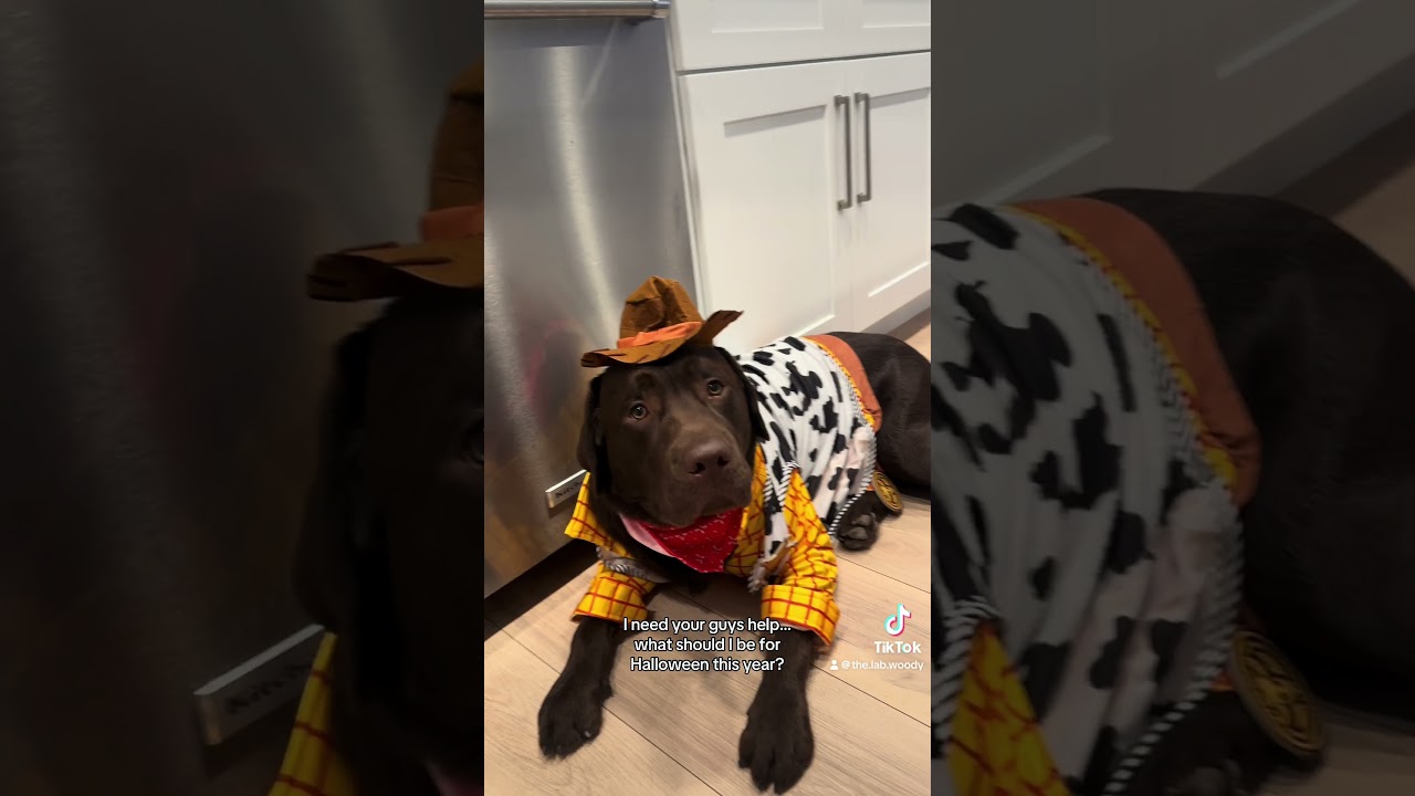 What should my pup be for Halloween? 