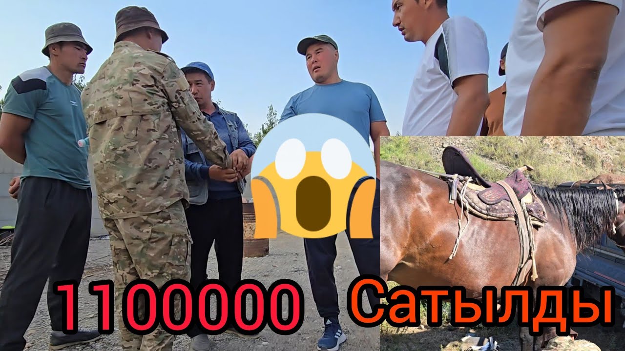 Бүгүн 12 август 2025  1100000 Ат Сатылды😱 Дайыр аке саты Акыл балбан Алды#атбазар #жылкыбазар 