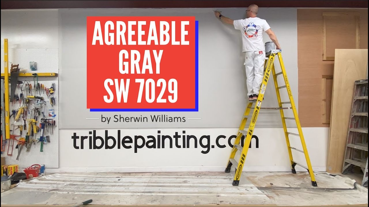 Agreeable Gray SW 7029 by Sherwin Williams