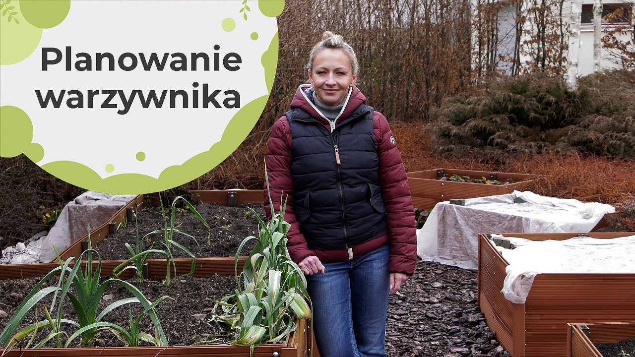Planowanie warzywnika - o czym należy pamiętać? Jak zaplanować nasadzenia? ogród warzywny w styczniu