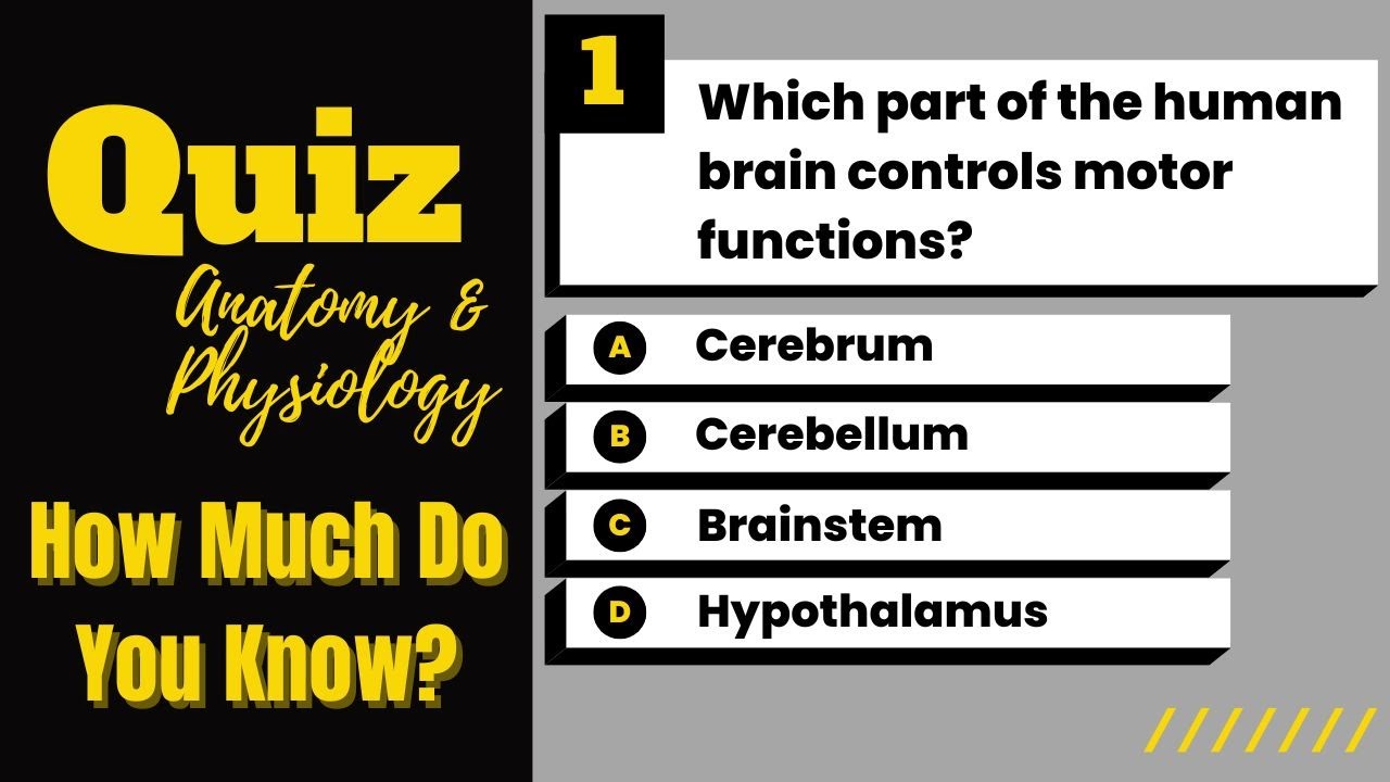 Human Body Quiz: 30 Questions That Most Nurses Get Wrong *