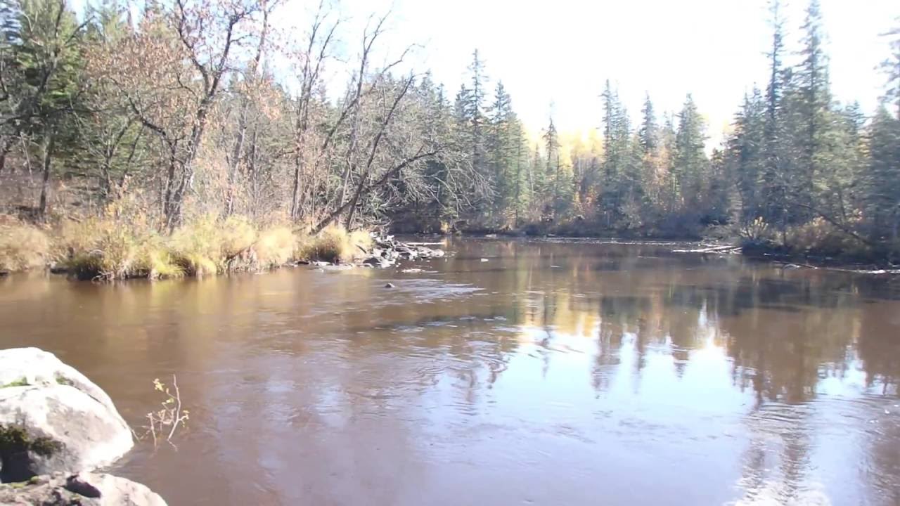 Maskwa River - Oct 5, 2016.