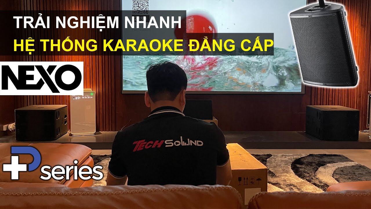 Hệ thống Cinema & Karaoke Cao Cấp NEXO PSeries với NEXO L15 Sub