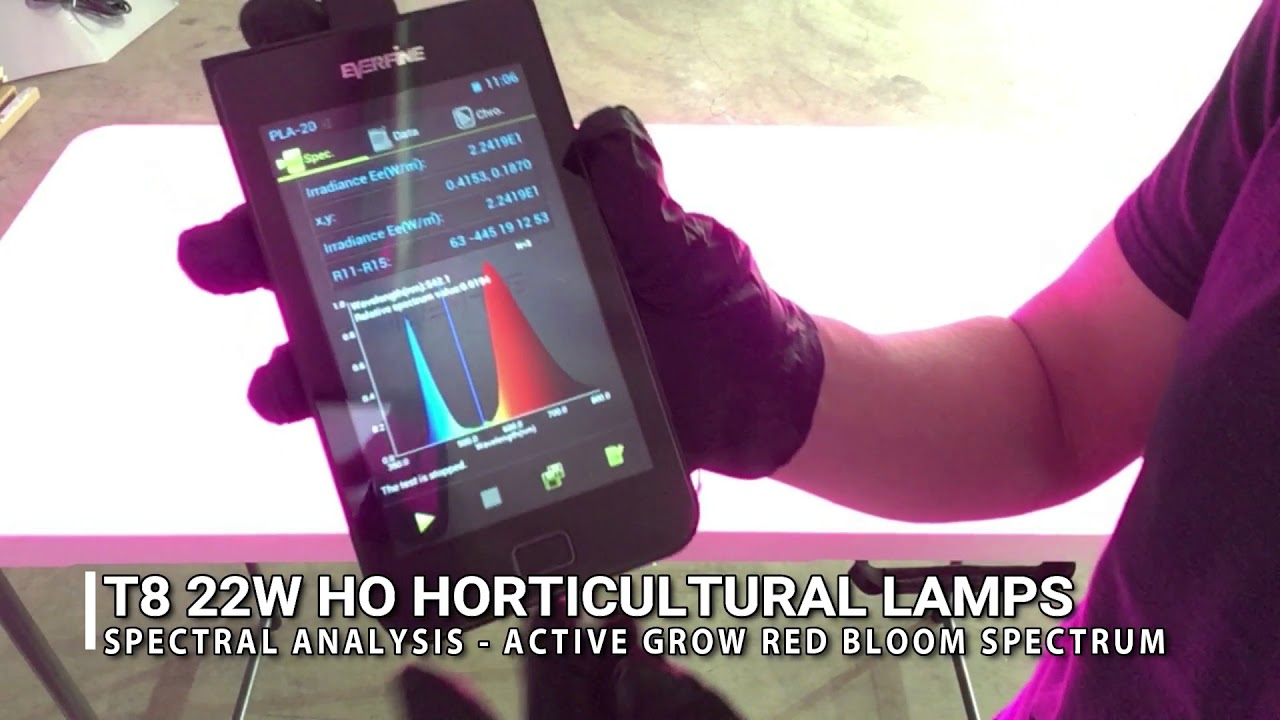 Active Grow T8 HO LED Grow Lights Vs. T8/T12 Fluorescent Tubes - Energy, Spectrum & PPFD