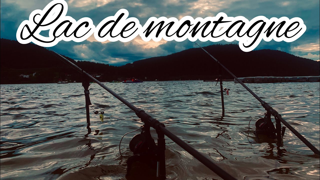 PÊCHE À LA CARPE EN LAC DE MONTAGNE // LAC DE GÉRARDMER