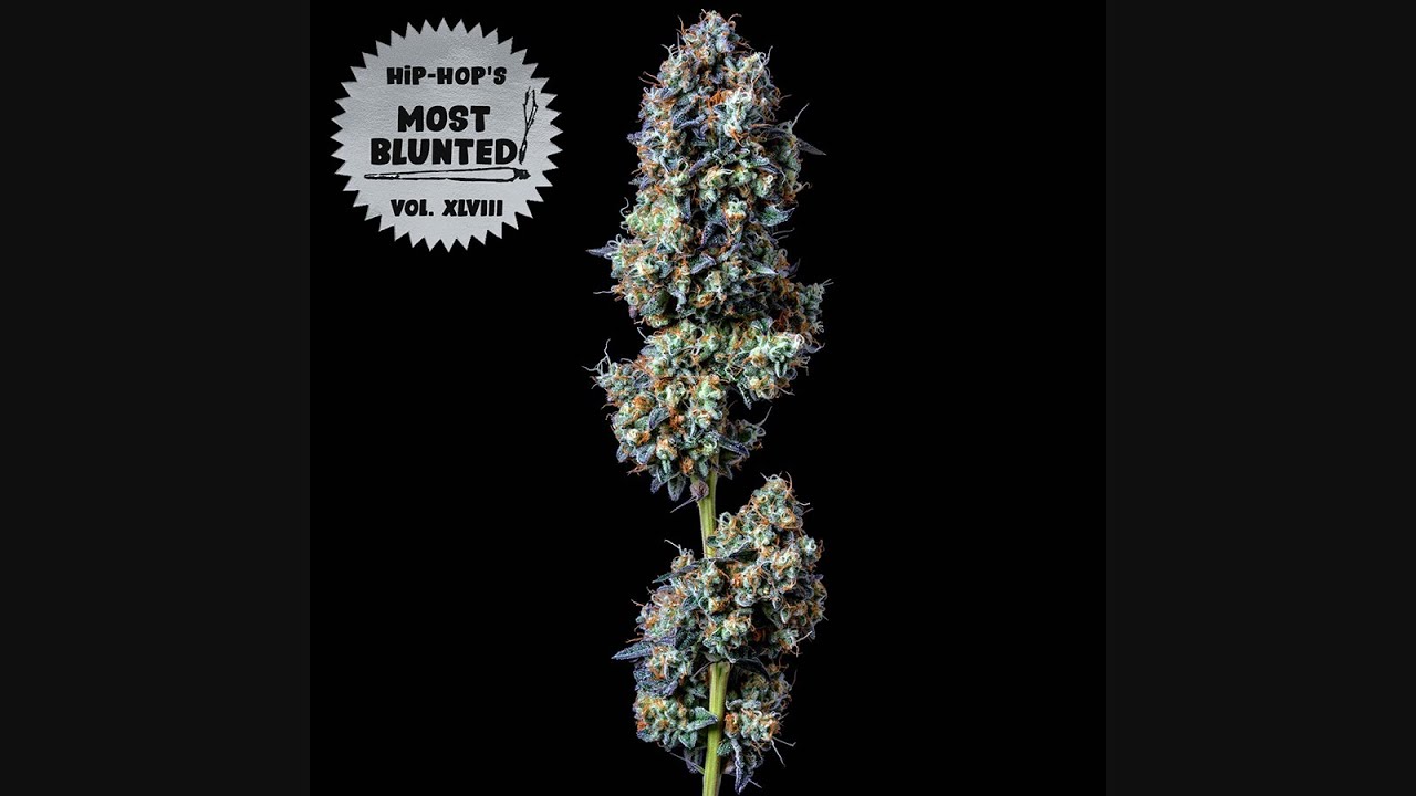 VA - Hip Hop's Most Blunted Vol. 48 (2026)