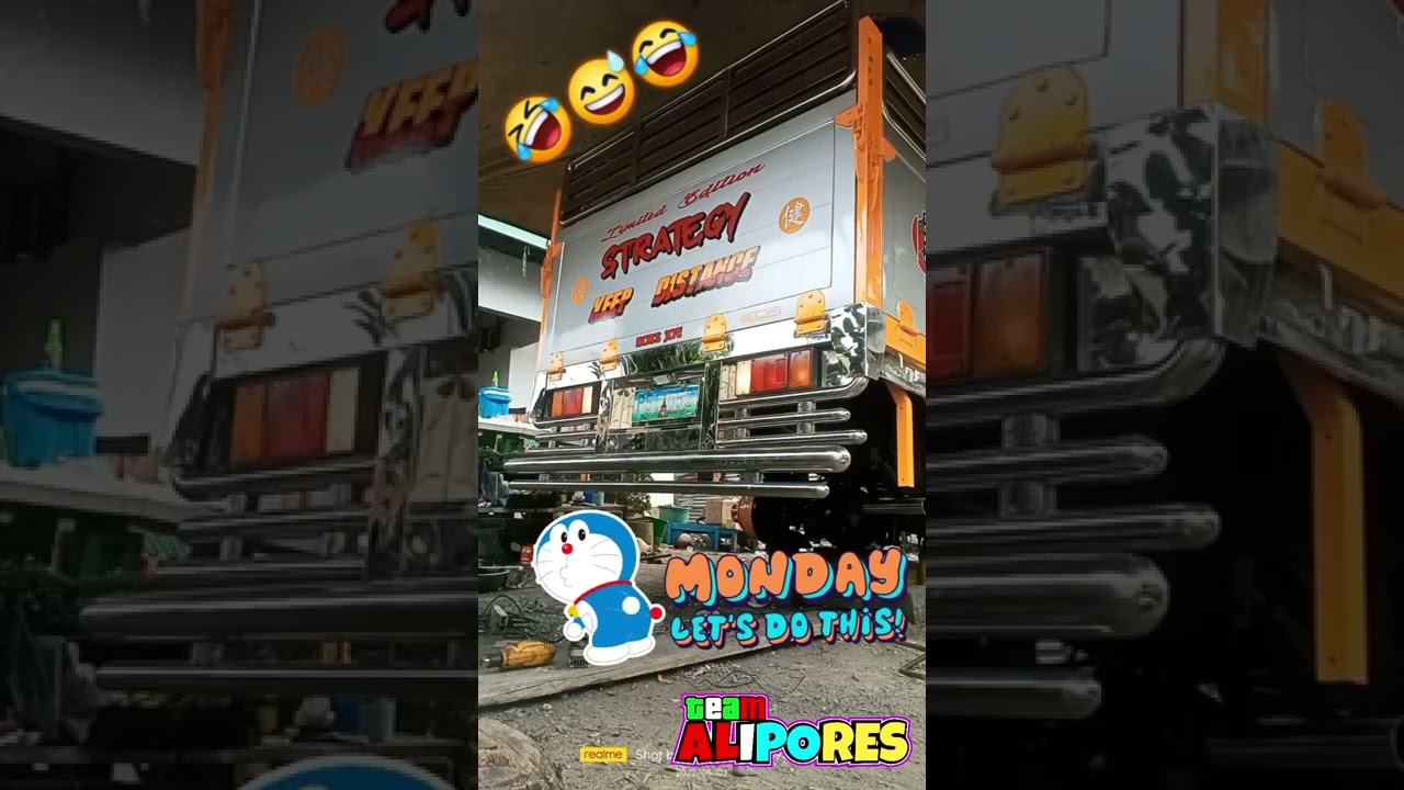 Assorted Truck & 4 wheel Alipores Backhorn Installed