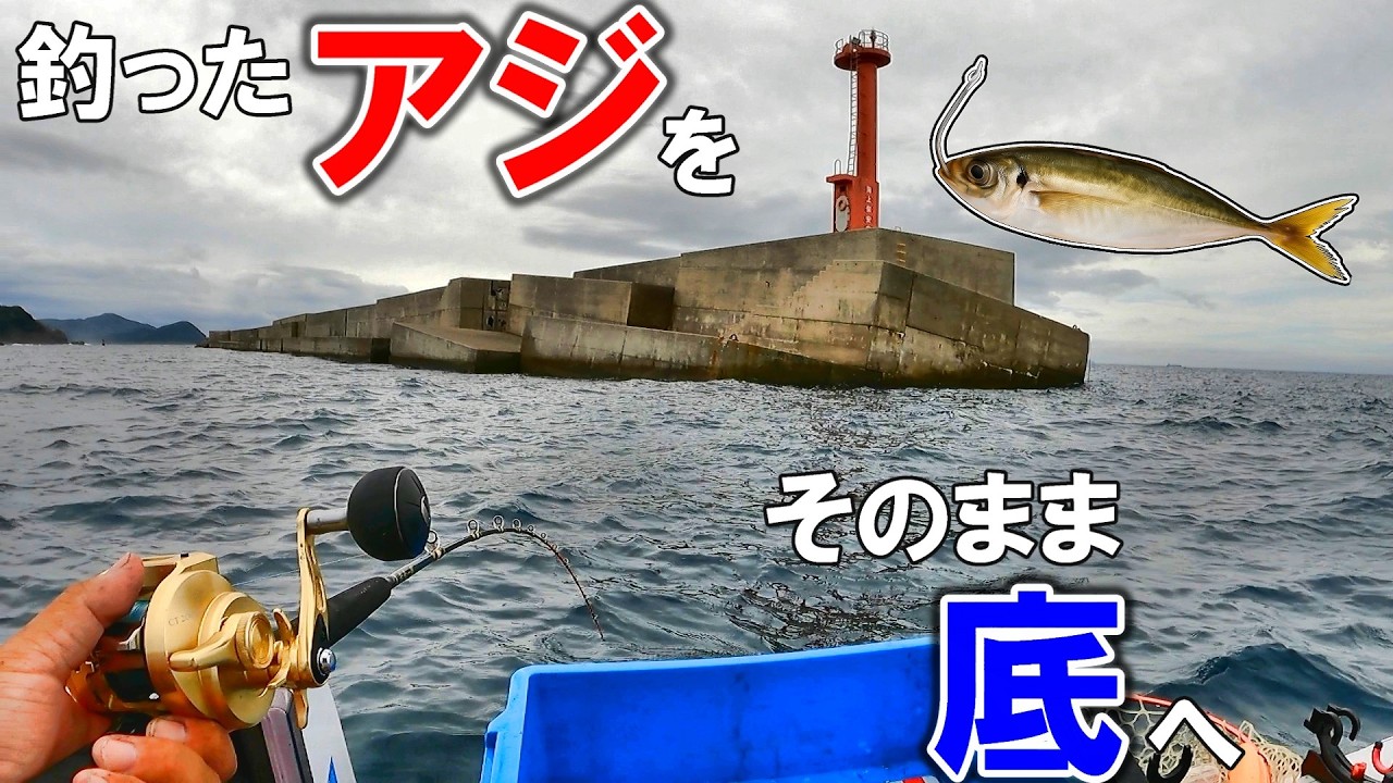 「最強」と呼ばれる沖堤防の足元にアジを落としたら・・大物が次々と！？