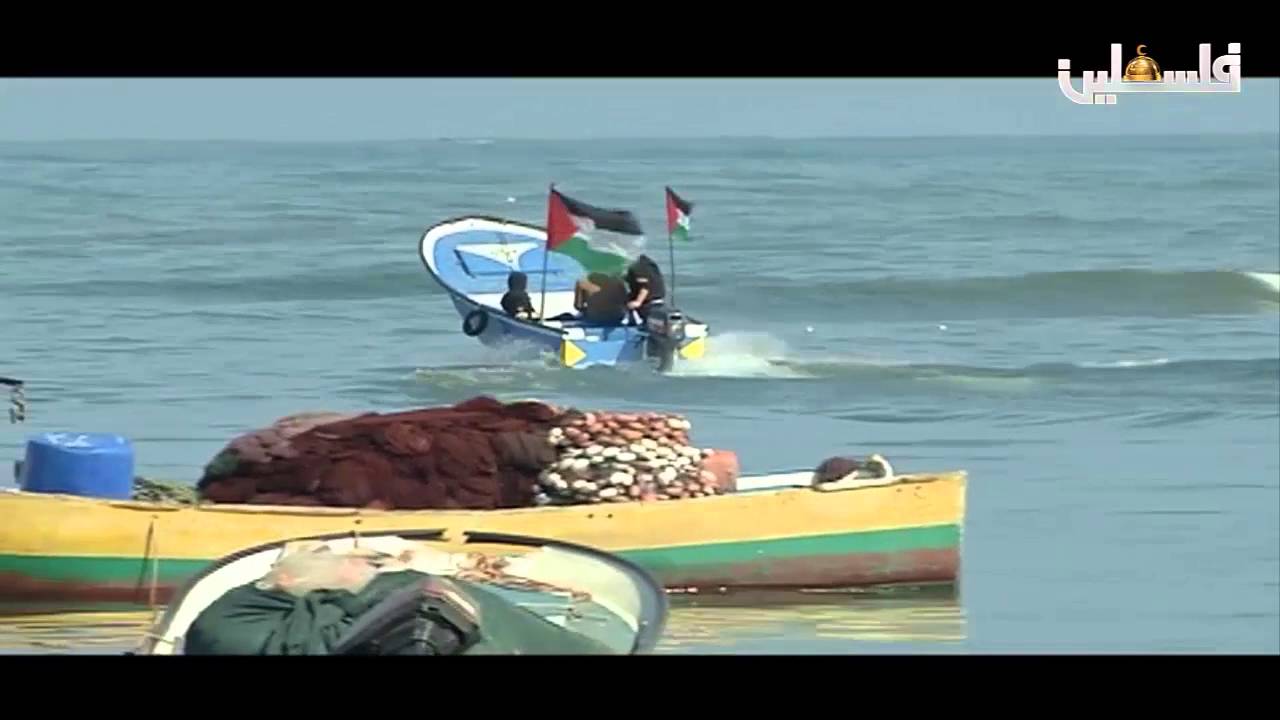 أغنية بلدي يا بلدي غزة انتاج تلفزيون فلسطين 2016
