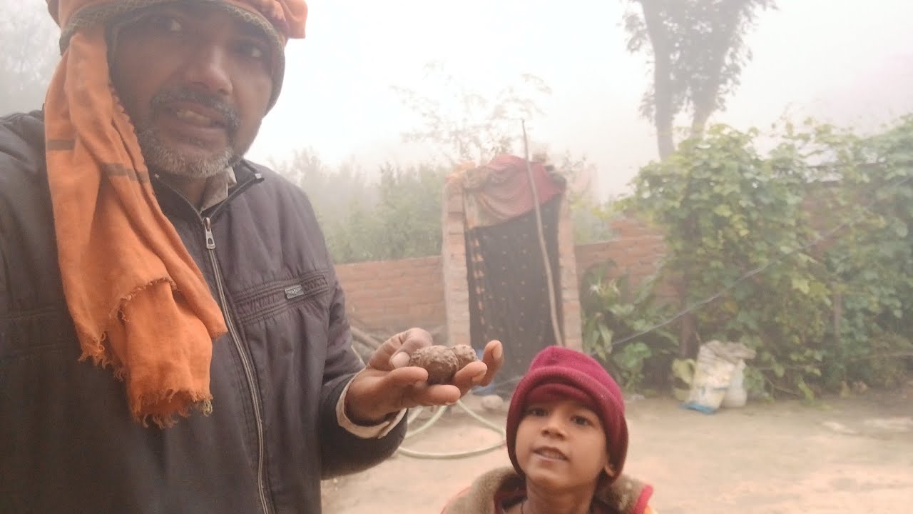 आपने खाया क्या यह सब