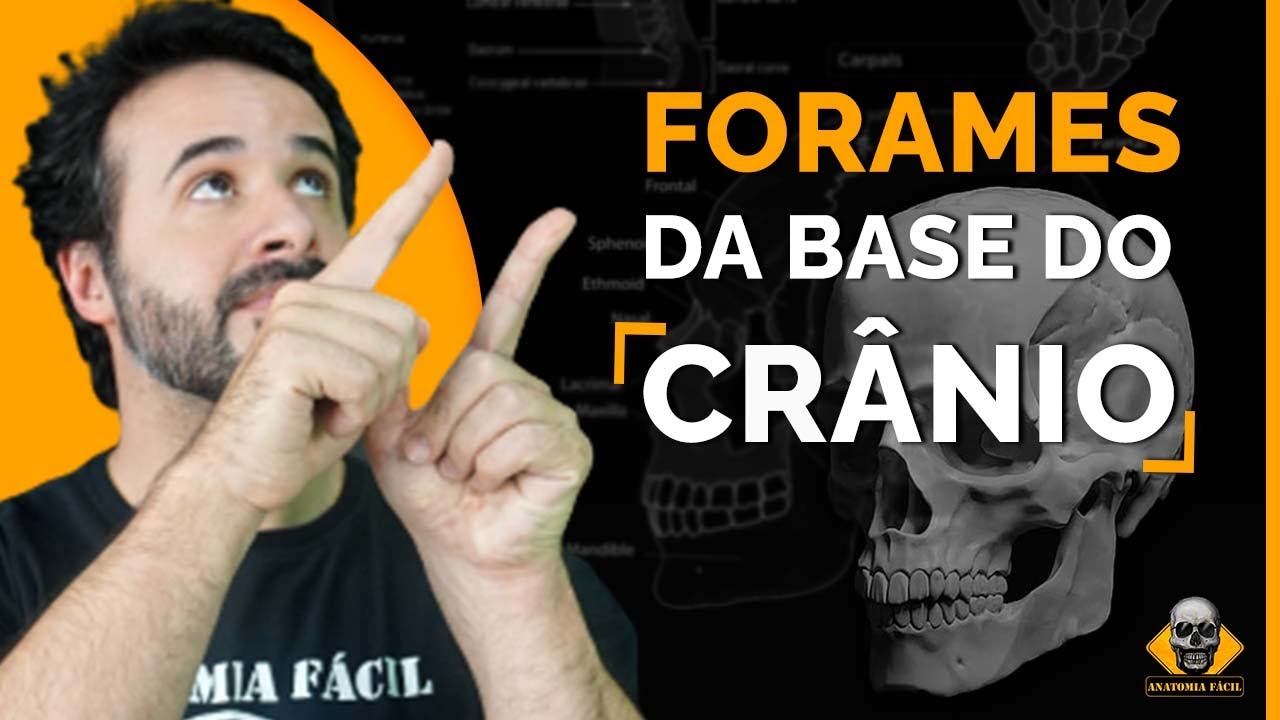 DESSA MANEIRA, ESTUDAR OS FORAMES DA BASE DO CRÂNIO NÃO SERÁ MAIS UM BICHO DE SETE CABEÇA
