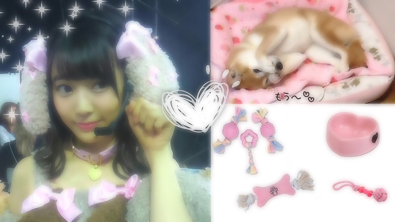 ❀ ﾟ｡@ good 🐶 puppy⋆｡˚