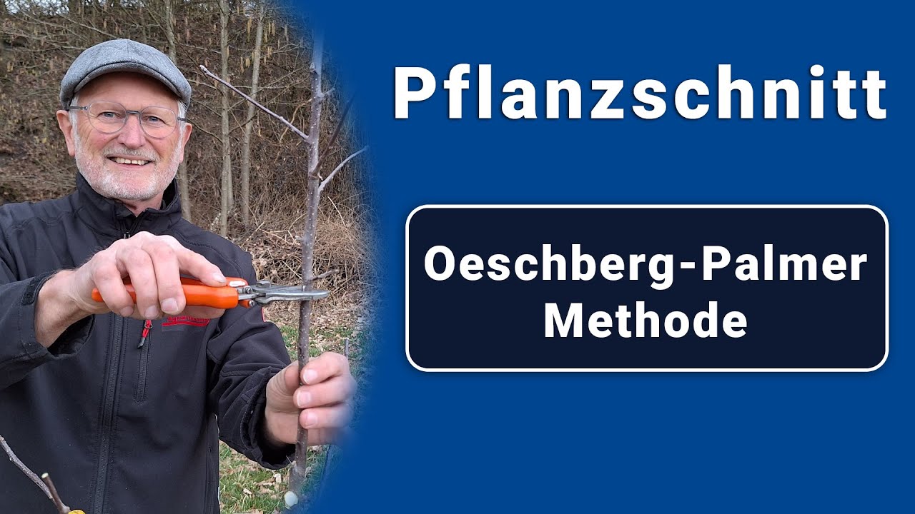 Pflanzschnitt nach der Oeschberg-Palmer Methode [Anleitung]