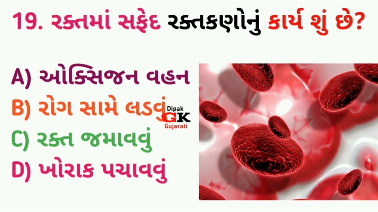 માનવ શરીરમાં રક્ત શુદ્ધ કરતું અંગ GK Questions and answer | GK questions | GK Gujarati | Dipak GK Gu