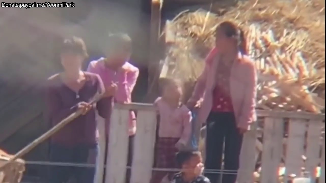 Actual Footage of the Ordinary Lives of North Koreans